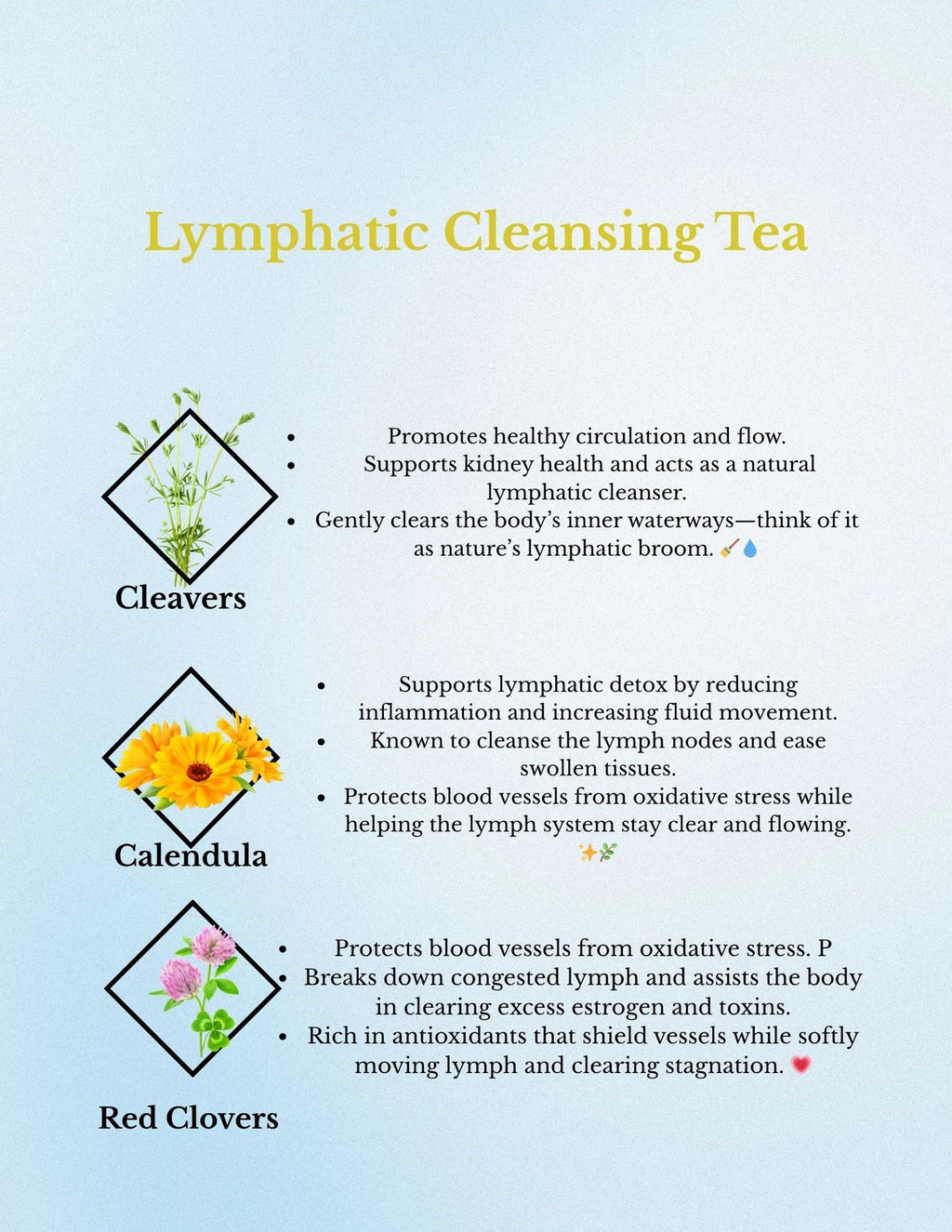 Lymphatic Cleansing Tea | Cleavers Red Clover