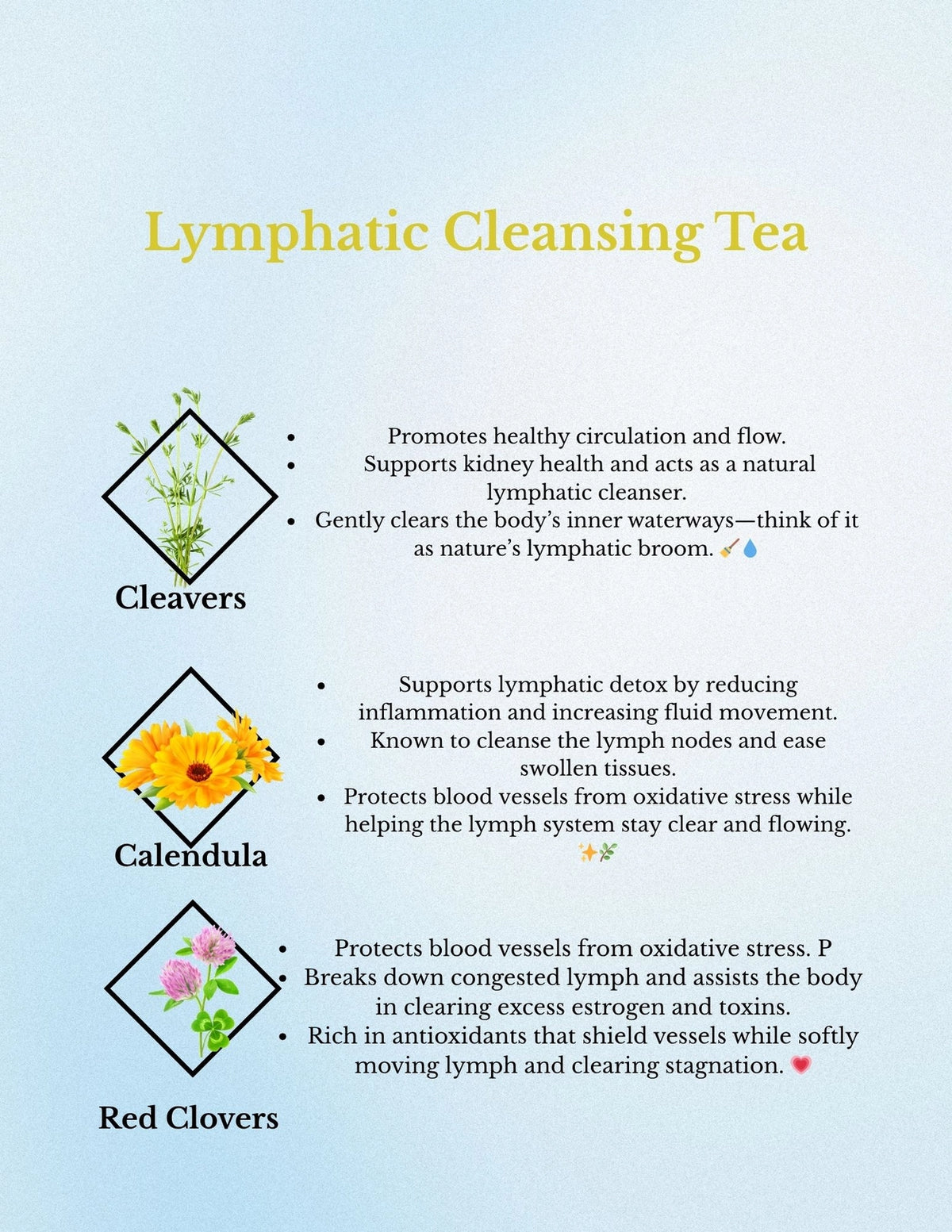Lymphatic Cleansing Tea | Cleavers Red Clover